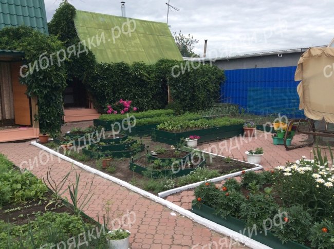 Клумба "Альпийская горка" в Севастополе Клумба "Альпийская горка" в Севастополе